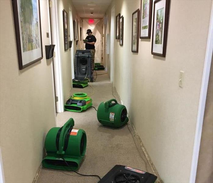 green fans in hallway with man standing at the end of hallway