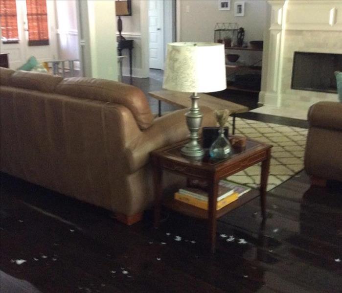 flooded living room with brown couch and tan and blue rug 