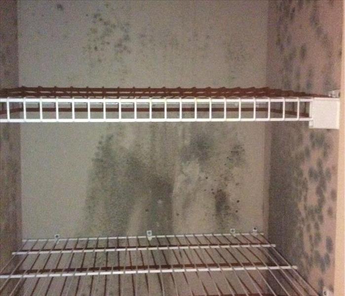 empty closet with mold growing on walls 