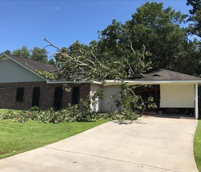 broken tree limbs on top of roof of house 