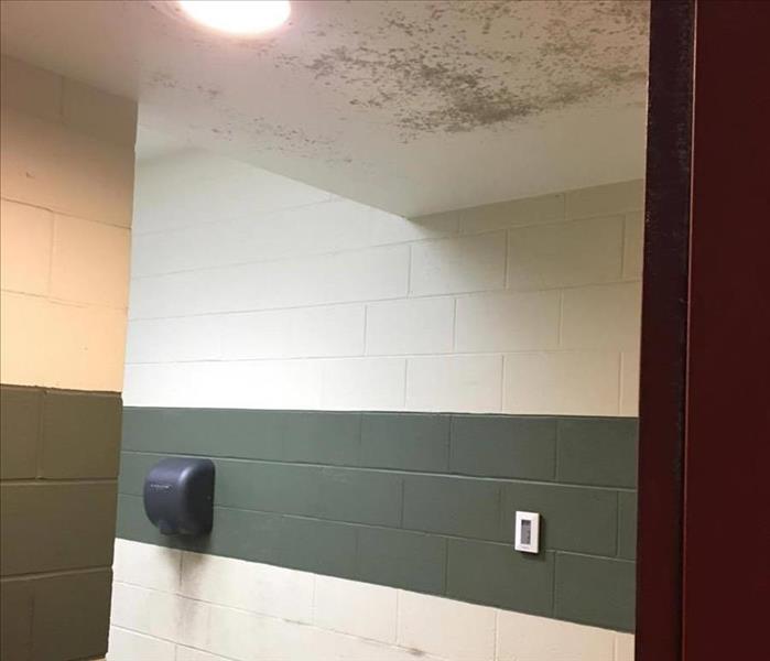 bathroom wall with white tile with green strip in center of wall with black mold on ceiling 