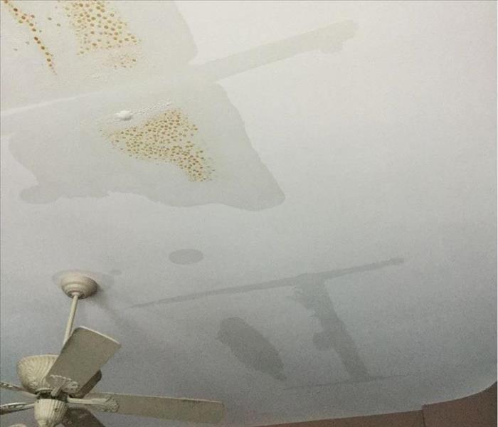 Water damaged ceiling 