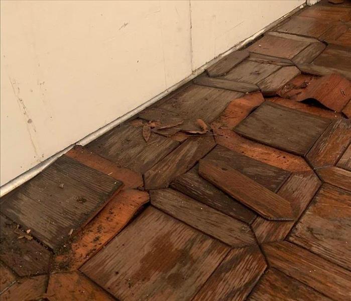 parquet wood flooring buckling up and cracking due to water damage