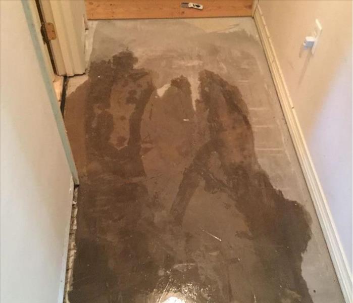 Water damaged hallway with wood flooring removed