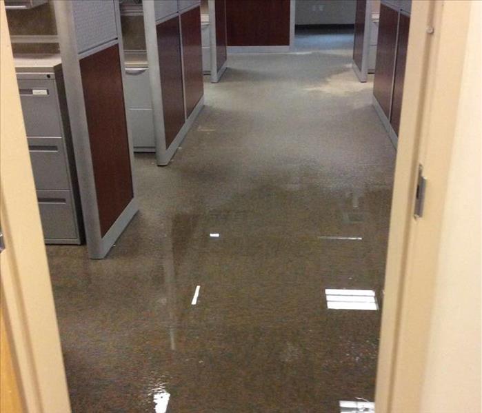 walkway through office cubicles with wet carpet 