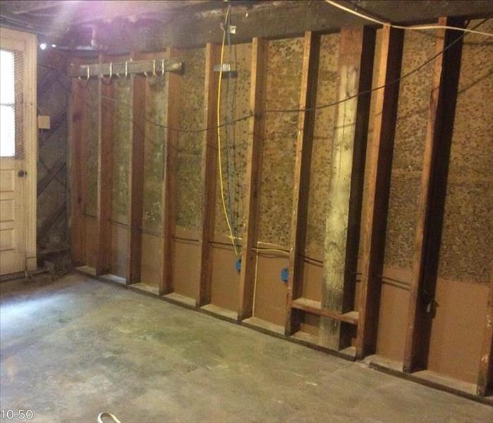 garage wall with exposed studs covered in green mold 