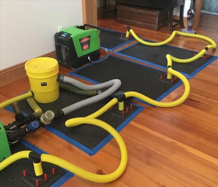 hardwood floor with four rescue mats placed