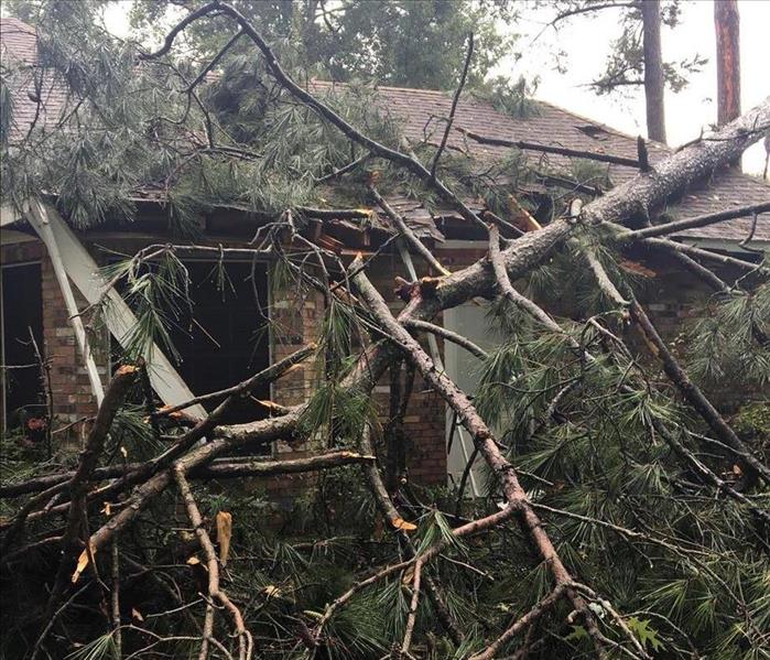fallen tree on roof of house and branches piled up in front falling on ground