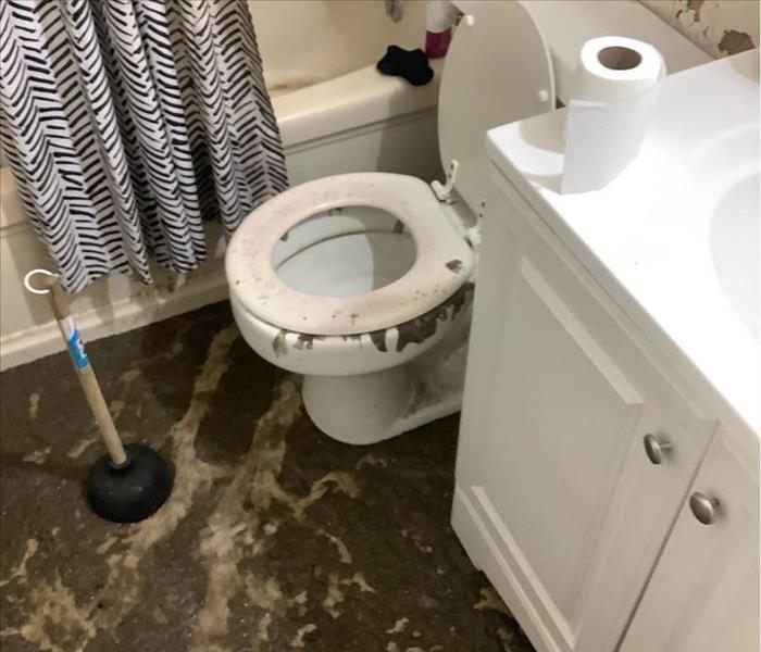 sewer system backed up debris on floor in bathroom 