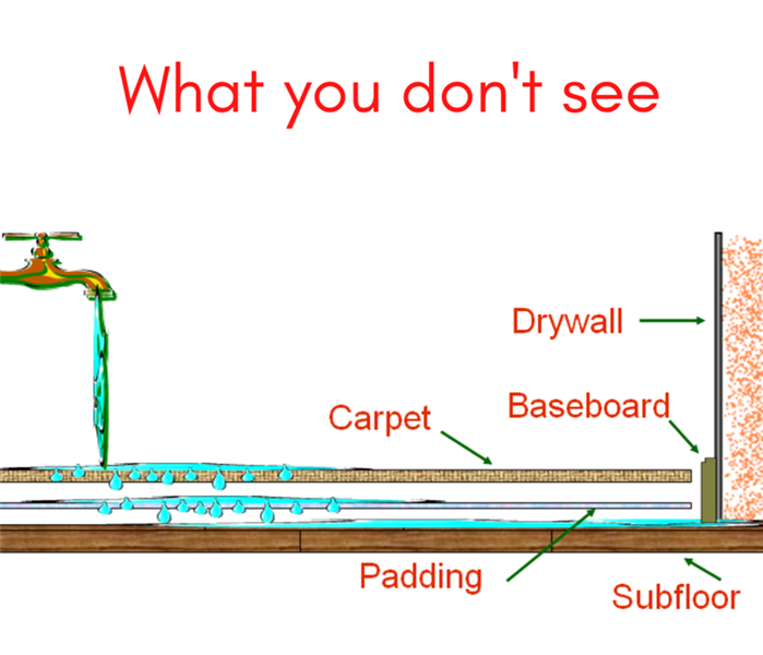 graphic showing water dripping from faucet and water droplets hiding under carpet and drywall