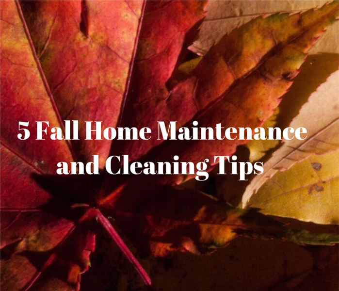 fall leaves with text "Five Fall Home Maintenance and Cleaning Tips" Overlaid 
